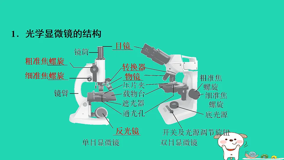 17795210第3页