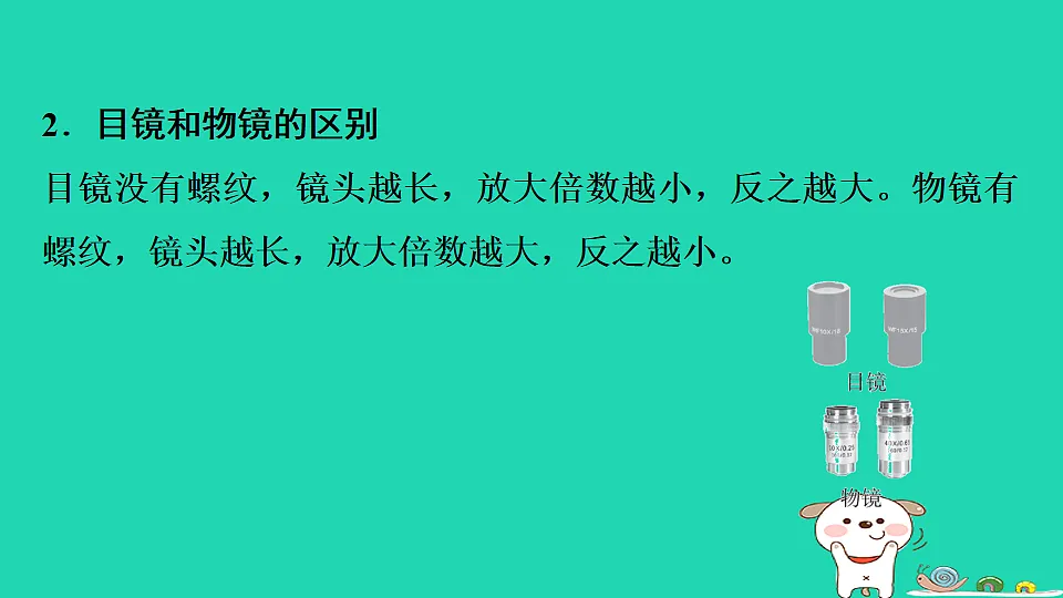 17795210第4页
