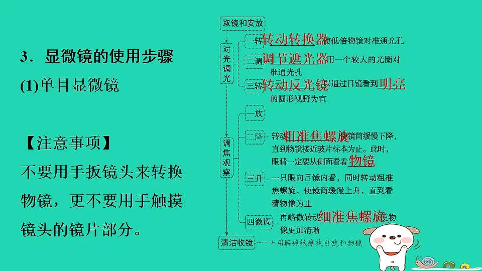 17795210第5页