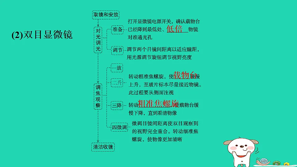 17795210第6页