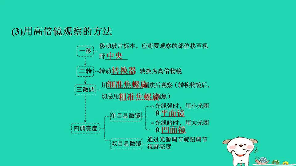 17795210第7页