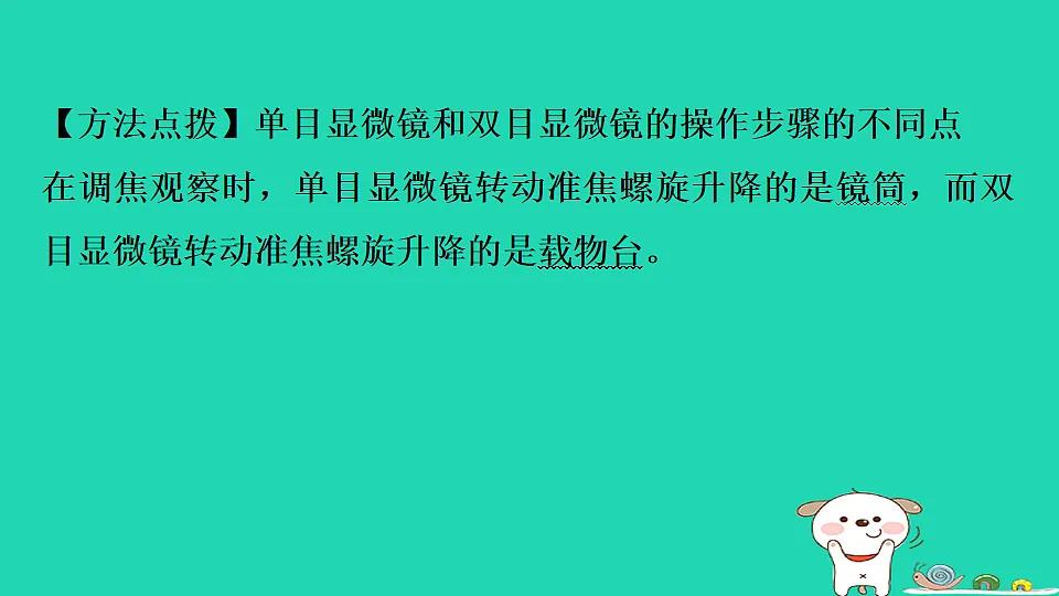 17795210第8页