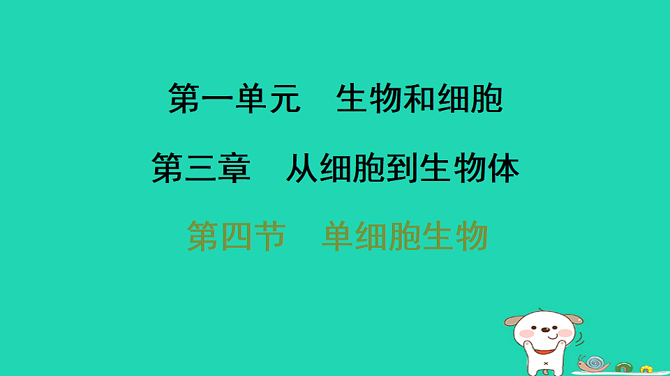 17795219第1页