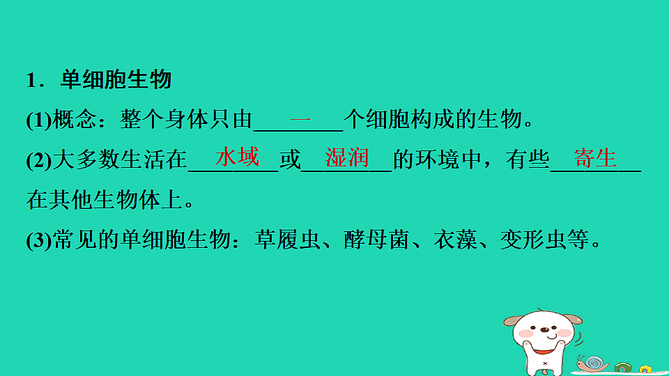 17795219第3页