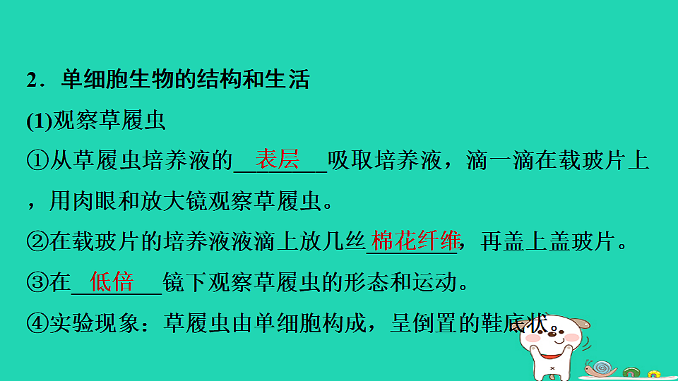 17795219第4页