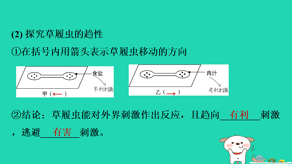 17795219第5页