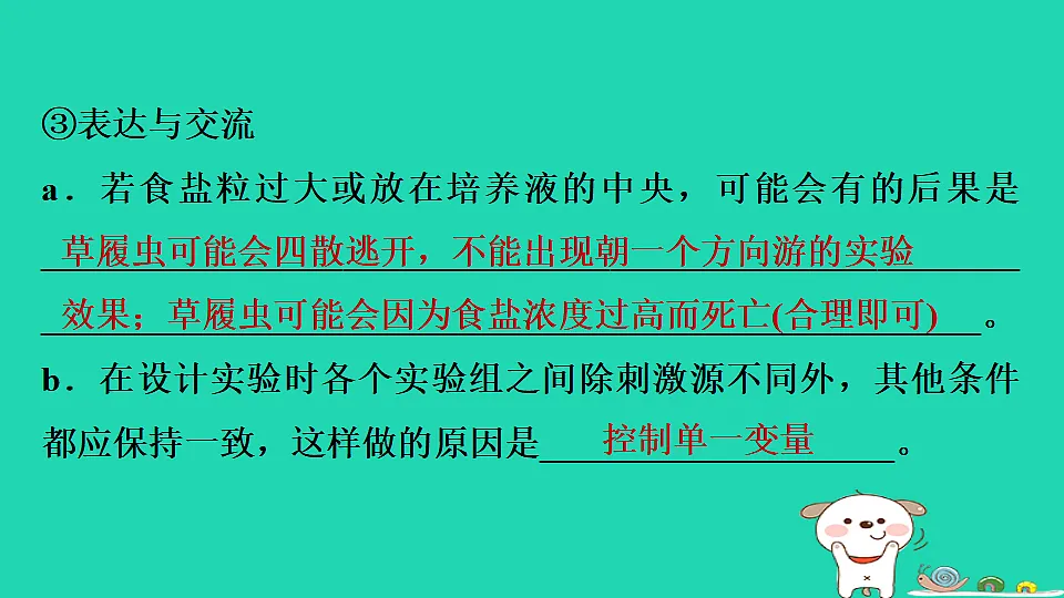 17795219第6页