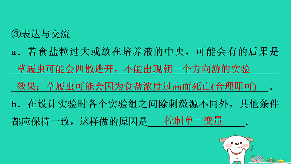 17795219第6页