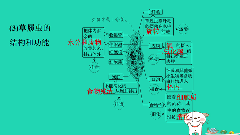 17795219第7页