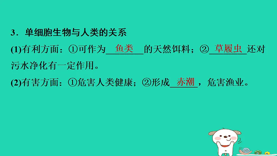 17795219第8页