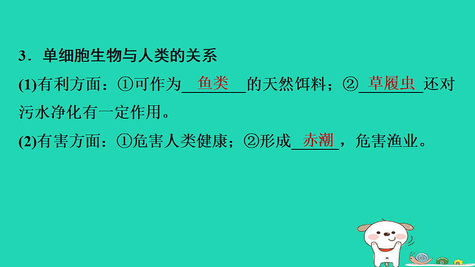 17795219第8页
