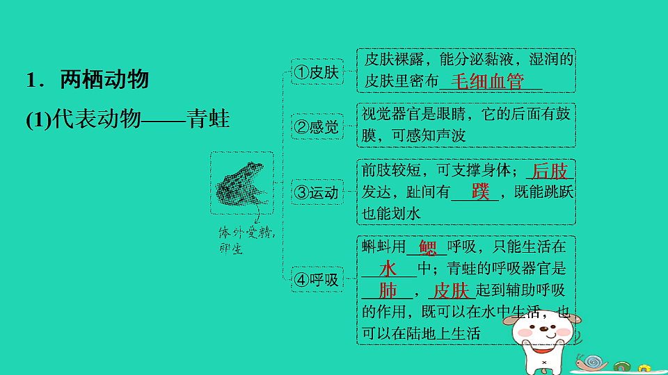 17795229第3页