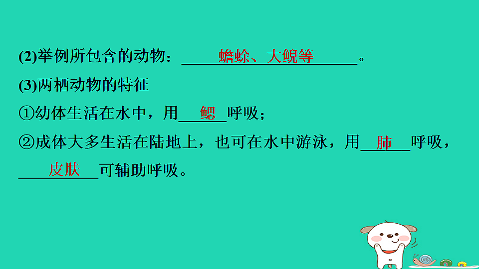 17795229第4页