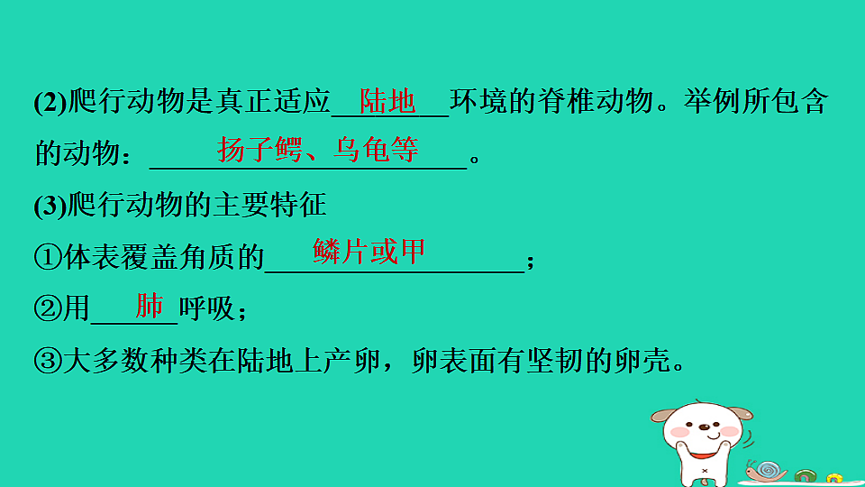 17795229第6页
