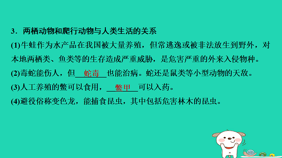 17795229第7页