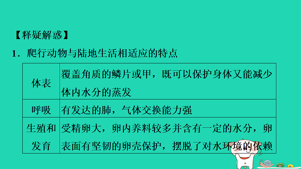 17795229第8页