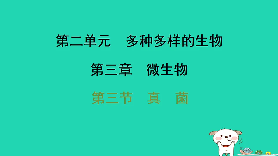 17795233第1页