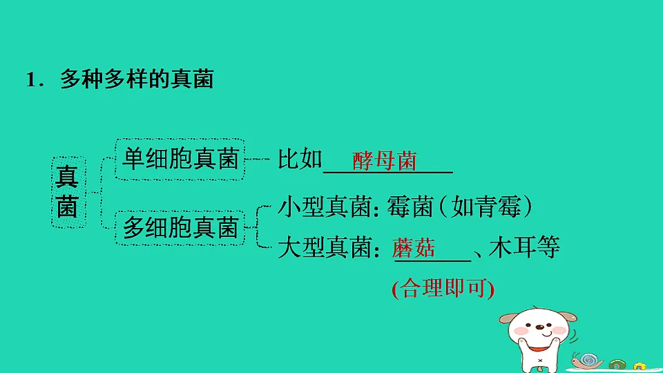17795233第3页