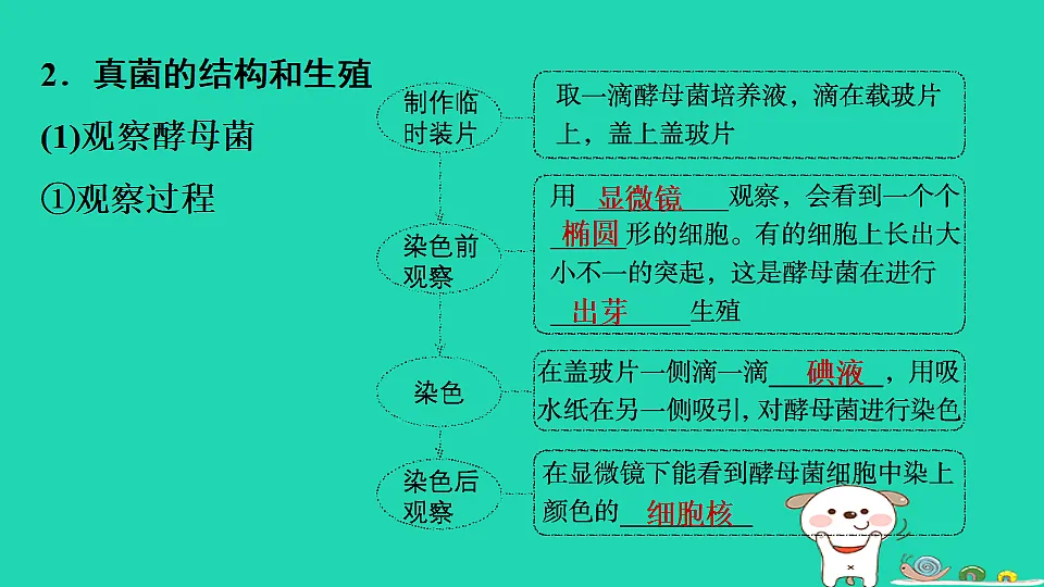 17795233第4页