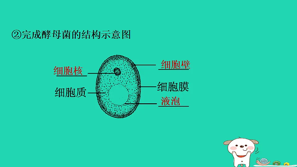 17795233第5页
