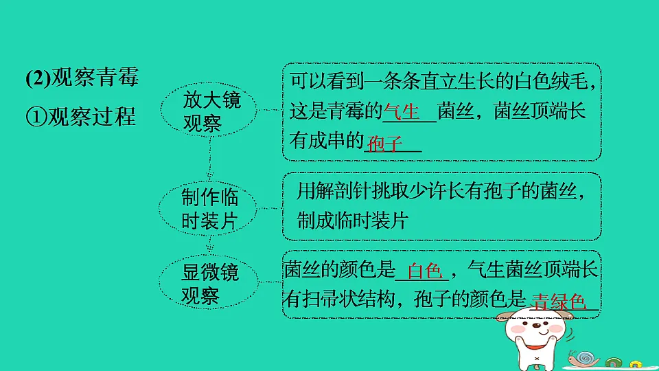 17795233第6页