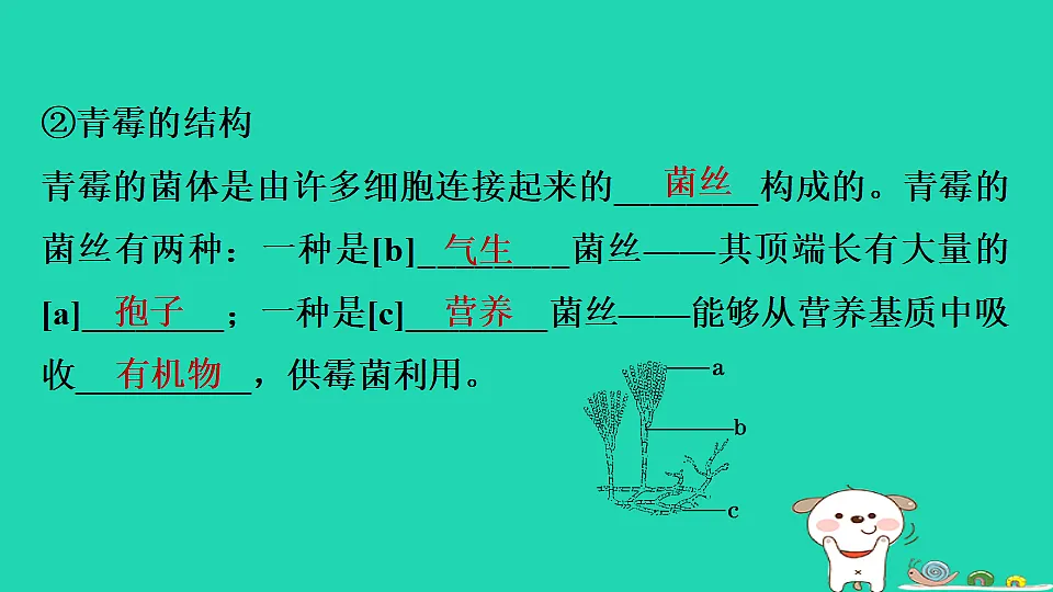 17795233第7页
