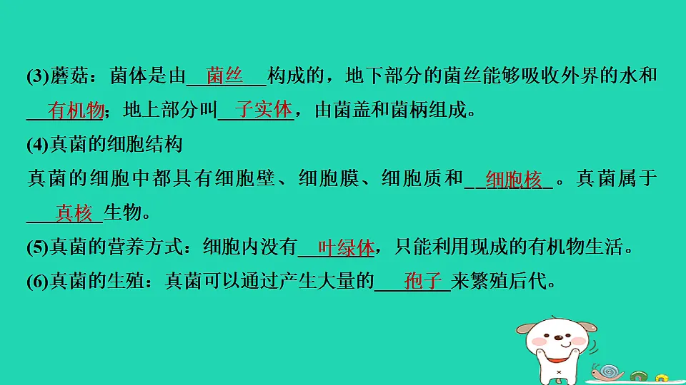 17795233第8页