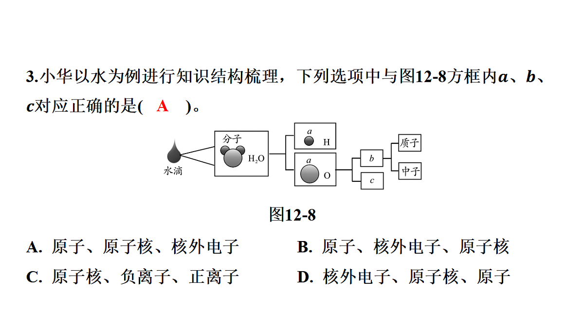 17795259第4页
