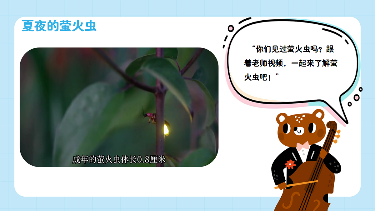 【接力版】音乐一年级下册 第二单元《萤火虫》 课件第5页
