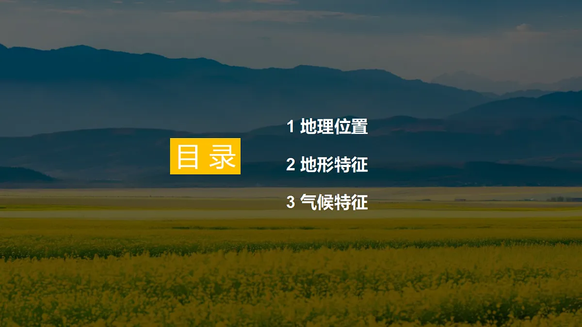 17798602第4页