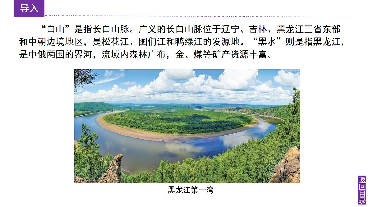 17798602第5页