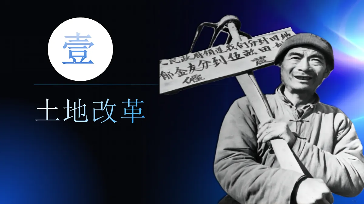 17798629第3页