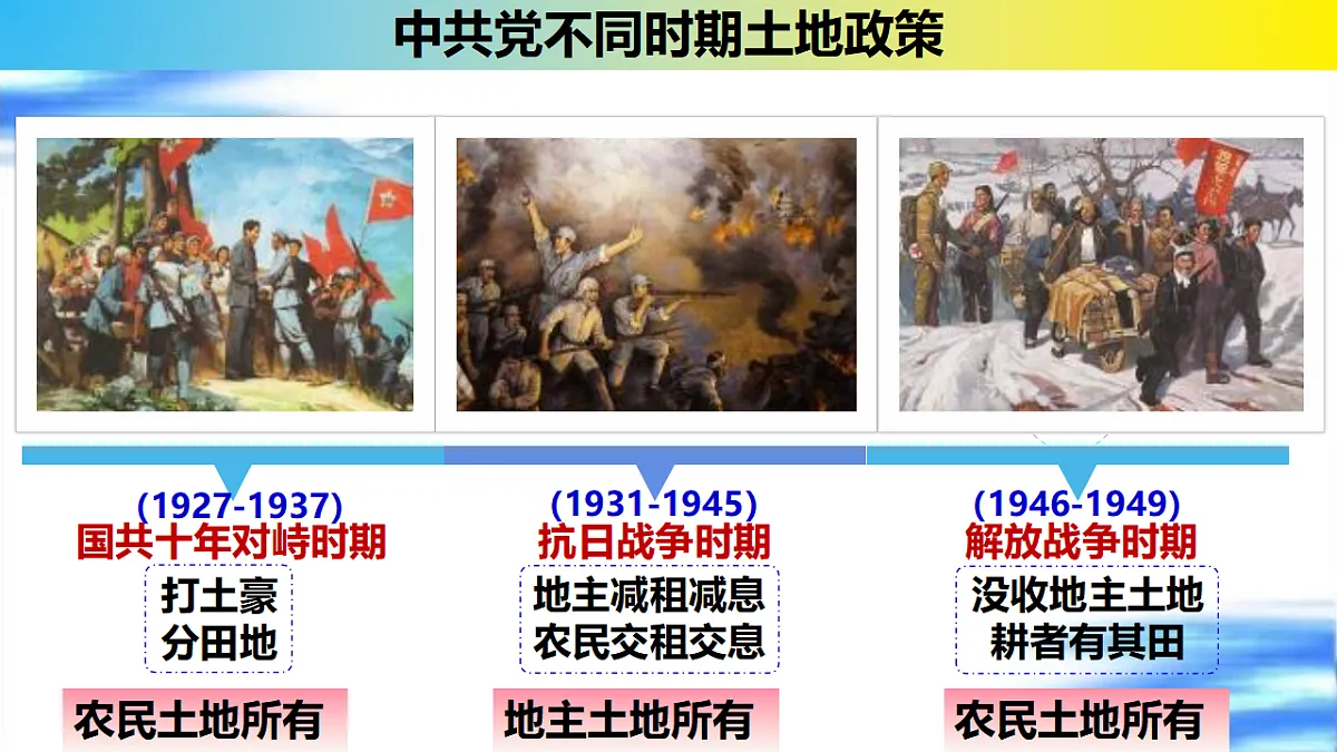 17798629第4页