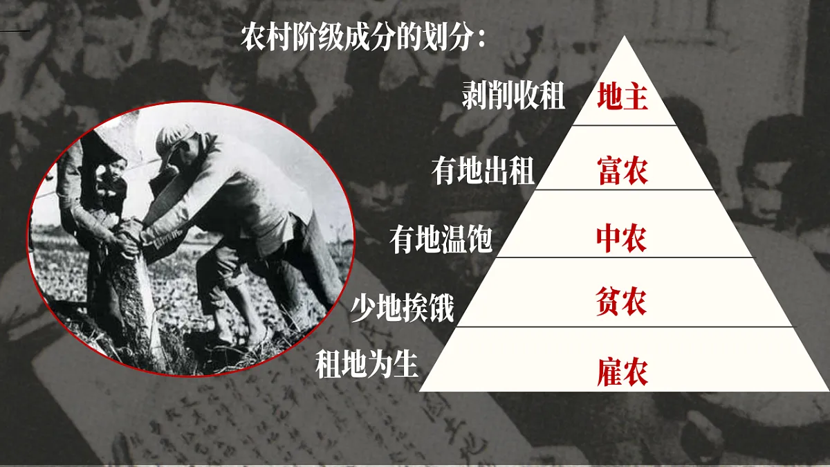 17798629第5页
