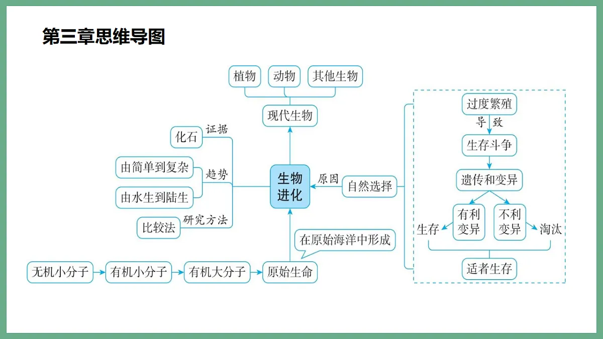 17798657第2页