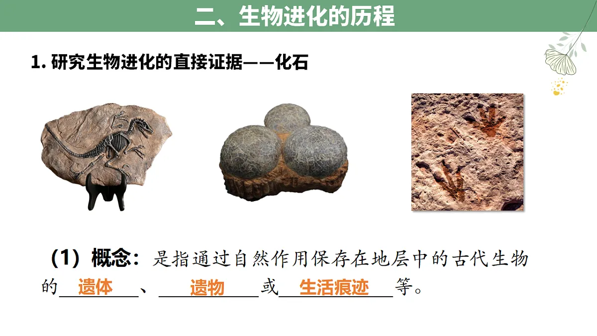 17798657第7页