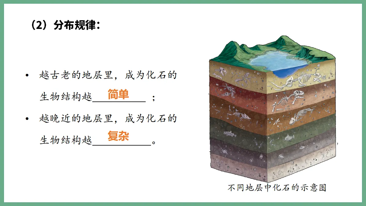 17798657第8页