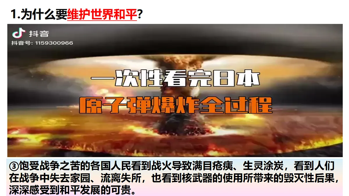 17798667第7页