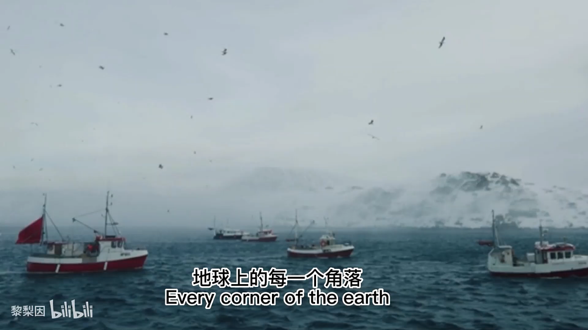 17798669第5页