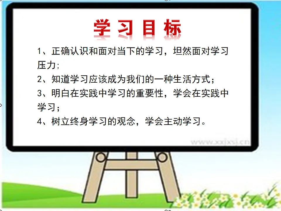 17798688第3页