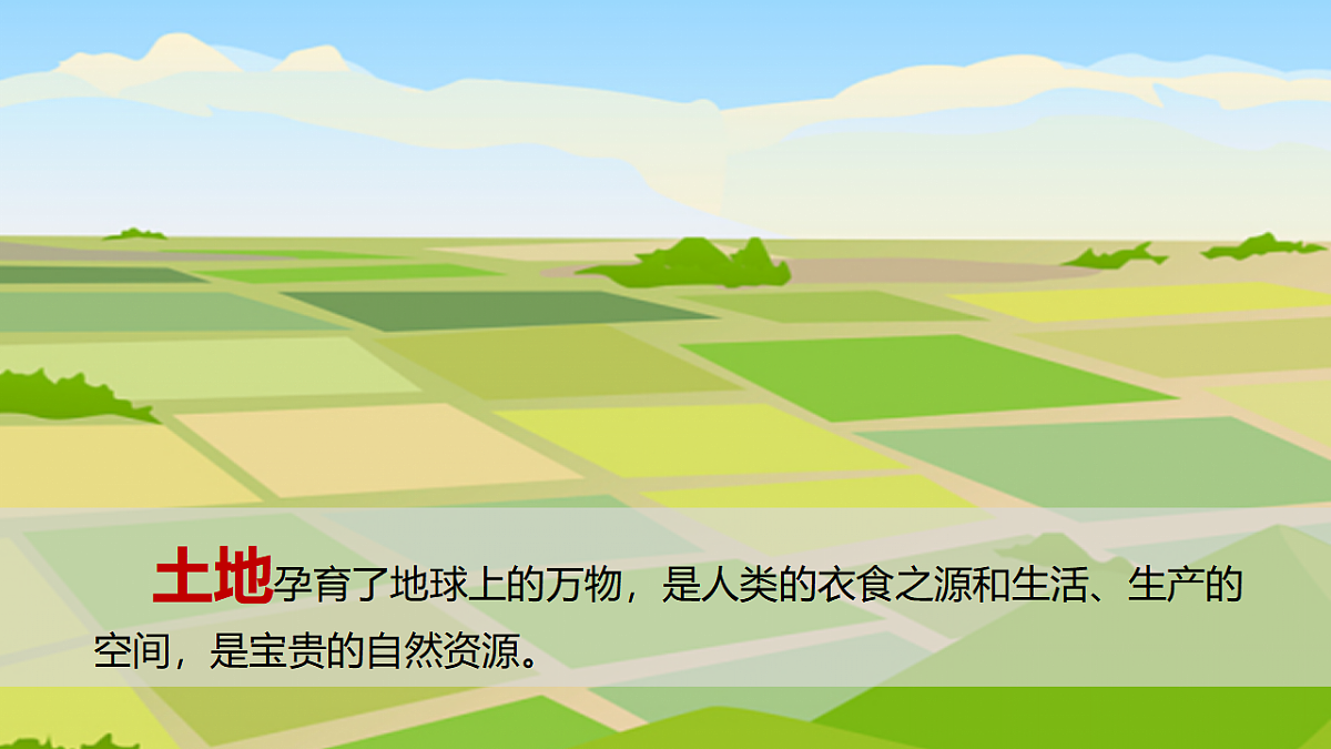 17800437第3页