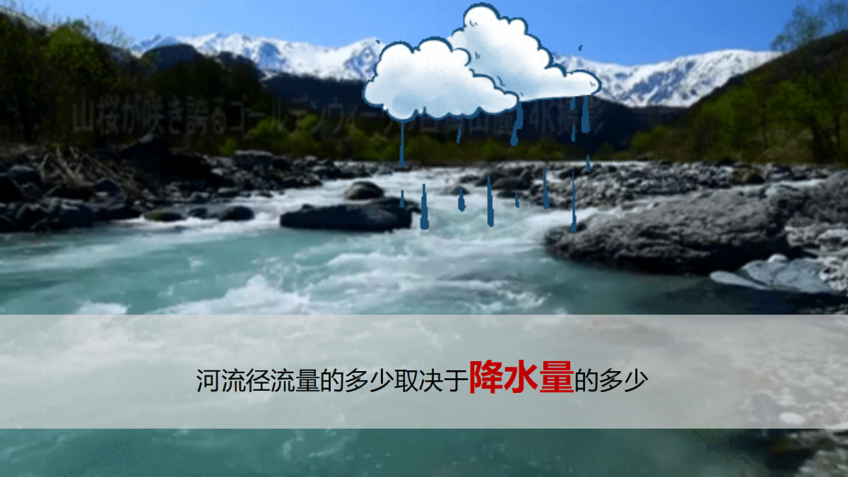 17800438第5页
