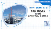 初中化学人教版（2024）九年级下册（2024）常见的盐教学课件ppt