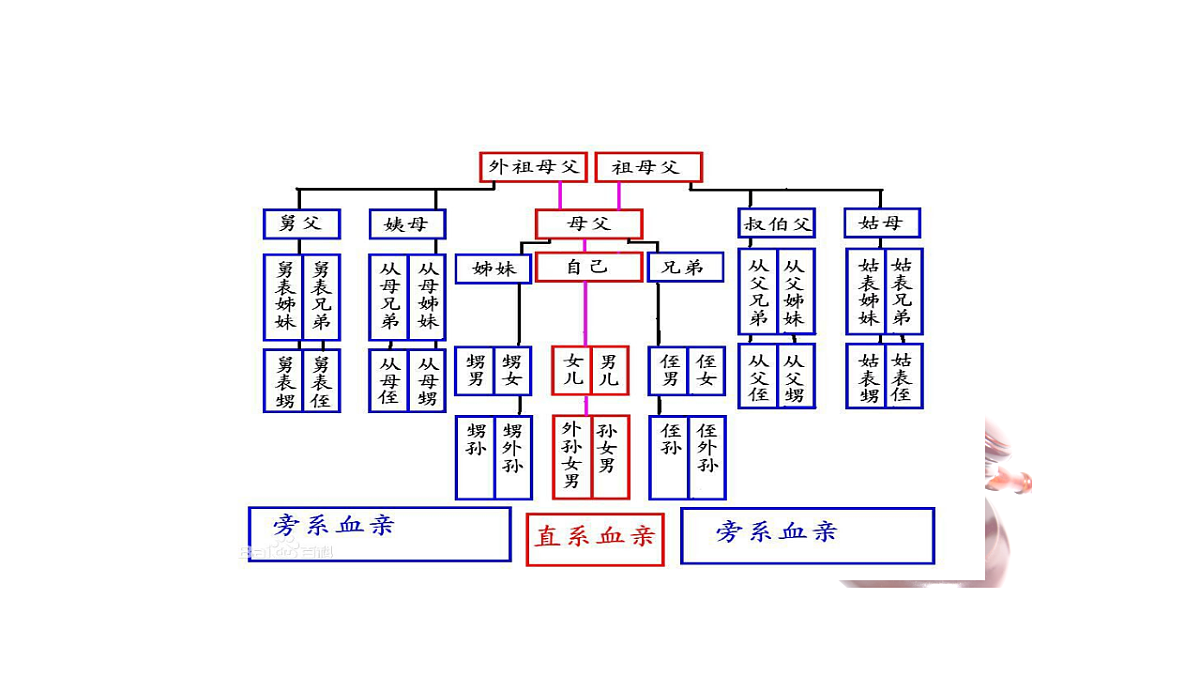 17801159第6页
