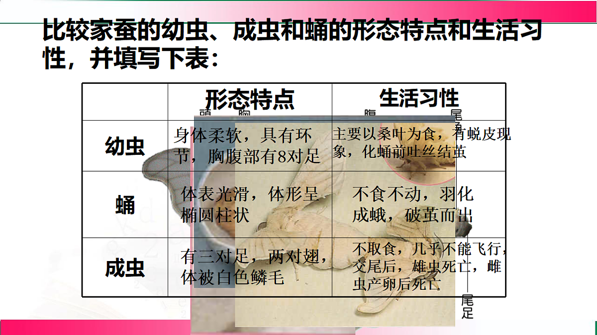 17801430第6页