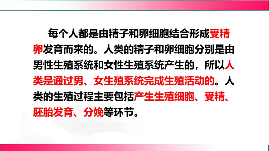 17801432第7页