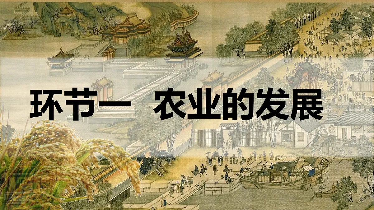 17801464第7页