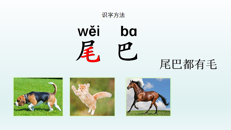 17804245第7页