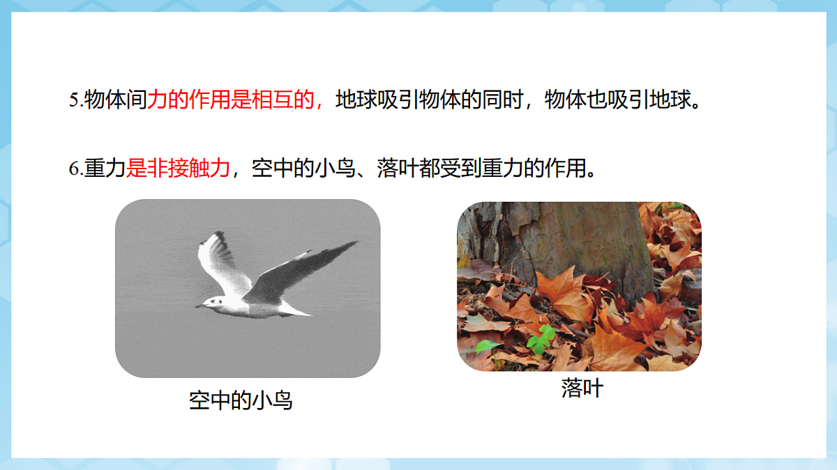 沪科版物理八年级全册第六章第三节 《来自地球的力》 教学课件第4页