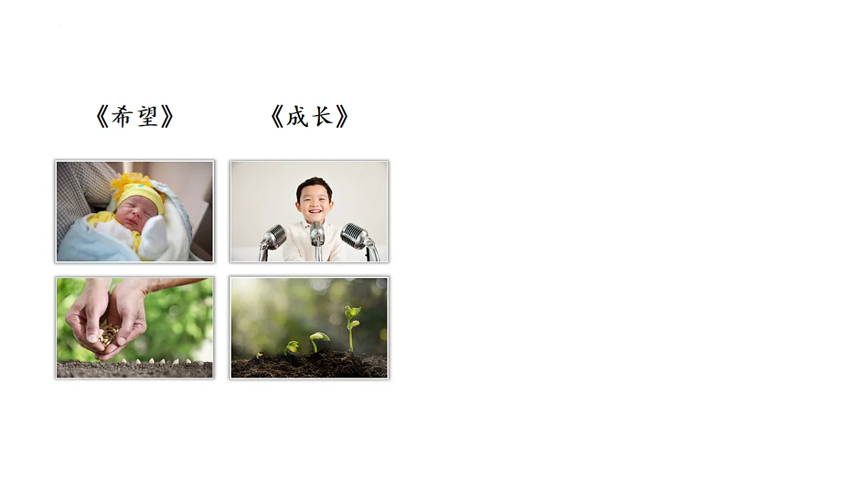 17804972第5页